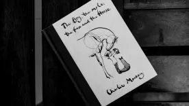 The Boy, the mole, the fox and the horse, by Charlie Mackesy on a coffee table